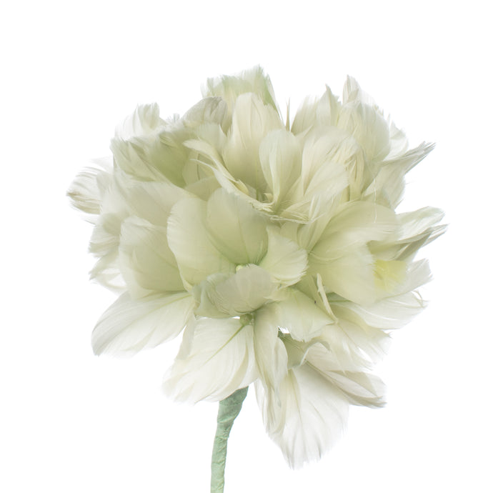 Millinery Supplies UK Light Green Feather Hydrangea