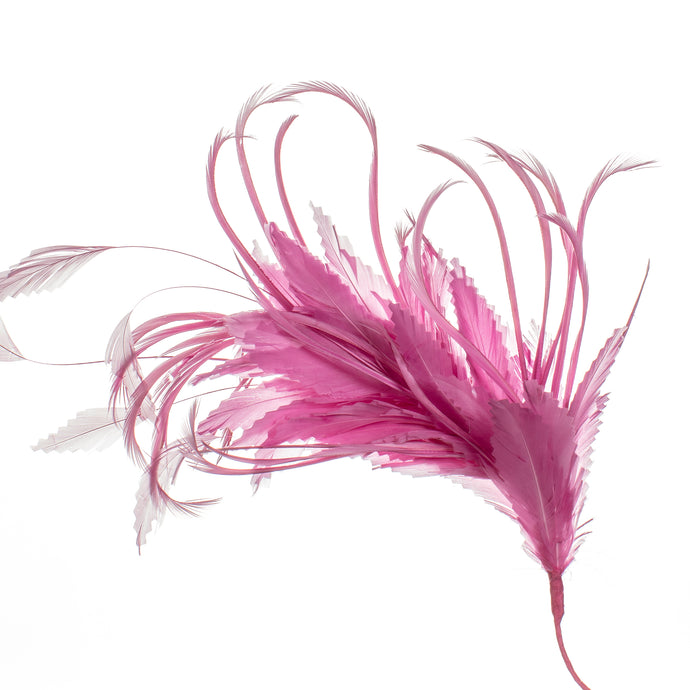 Millinery Supplies UK Deep Pink Feather Spray